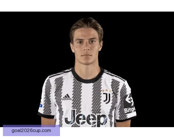 维罗纳球迷针对法焦利辱骂 古德蒙德松遭遇类似歧视行为